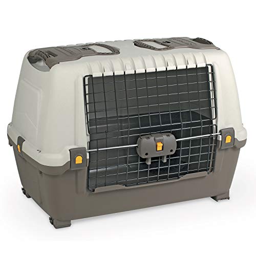 ARQUIVET Transportín Skudo Car 80 - 76 x 45 x 54 cm para perros y gatos - Resistente a golpes y buena ventilación - Accesorios para mascotas - Artículos para el transporte de mascotas
