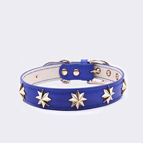 Artículos for Mascotas se Pueden Ajustar Collar Taurino Edge Perro Machete para Perro Mascota (Color : Blue, Size : XL Neck 38-46cm)