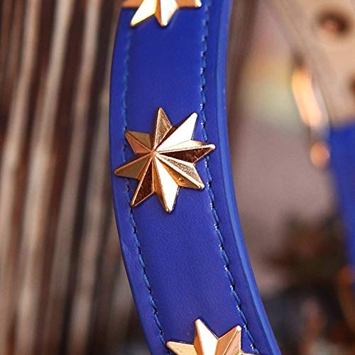 Artículos for Mascotas se Pueden Ajustar Collar Taurino Edge Perro Machete para Perro Mascota (Color : Blue, Size : XL Neck 38-46cm)