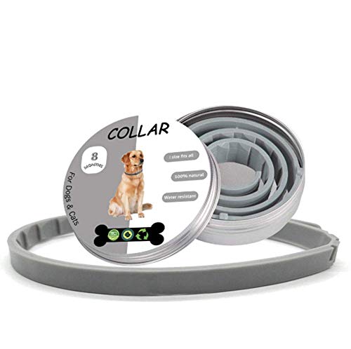 Artículos para mascotas Gatos y perros Eliminación de mosquitos Collar antipulgas Caja de aluminio Todos los mosquitos naturales resistentes a los insectos y collar repelente de insectos (TPE, 65)