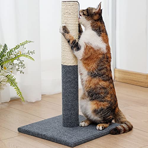 ASFD Gato Rascador Poste Gato Juguetes Interactivos Gato Rascador Poste Gato Rascador, Gris