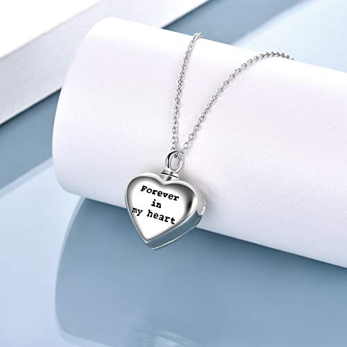 Ashes Jewellery para perro, gato, plata de ley S925, collar de urna de pata de mascota, para cenizas, corazón, foto, medallón, para mujeres, regalo conmemorativo de perro para niñas