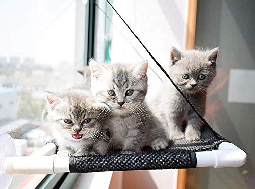 Asiento de ventana para el gato satisfecho Tumbona para gatos Hamaca de gatos Instalación de ventana Mirada del ratón Litera de ventana ventosas fuertes Ventana montada hamaca cama colgante