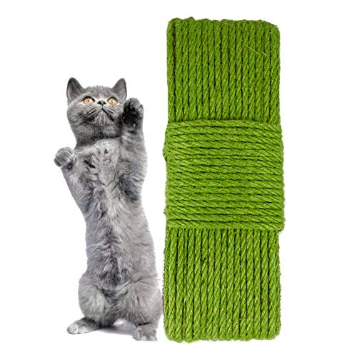 Asudaro Cuerda de Cáñamo, Cuerda de Yute, Cuerda de Sisal Gatos, DIY Jardineria, Cordel Decorativo, Reemplazo de Arbol de Gato/Rascador de Gato,Cuerda de Sisal Natural, 6MM*10M, Verde