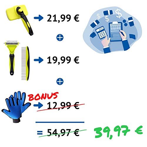 AU Beau FIXE - Cepillo Pelo Perro Gato [5 Accesorios] para Mascotas de Pelo Largo y Corto: Cepillo Pelos Muertos + Rastrillo de Aseo + Peine + 2 Guantes [Garantía 30 Días Satisfacción o Reembolso]