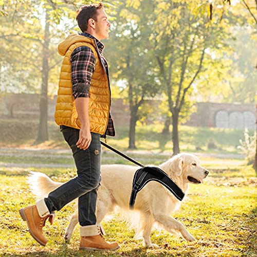 Auflosung Arnes Perro,Ajustable Arnes Perro Grande,Transpirable Arnes Perro Arnés,Tipo Chaleco para Perros Reflectante Arnes Perro Grande,Mediano PequeñO para CorrertamañO Paseo FáCil,Negro