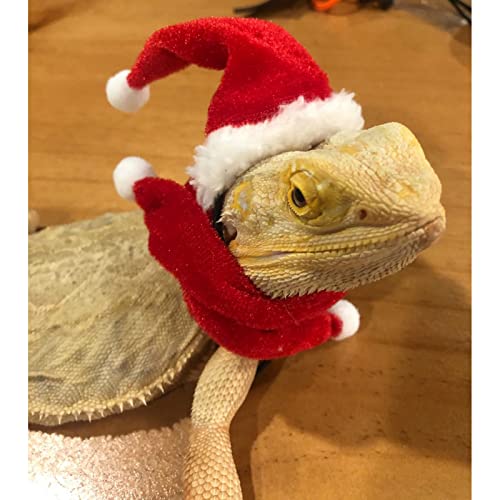 Autuncity Gorro Navideño de Lagarto, Kit de Gorro de Dragón Barbudo Navideño, Cómodo, Ajustable, Cálido para Gatear, Mascota para Lagarto