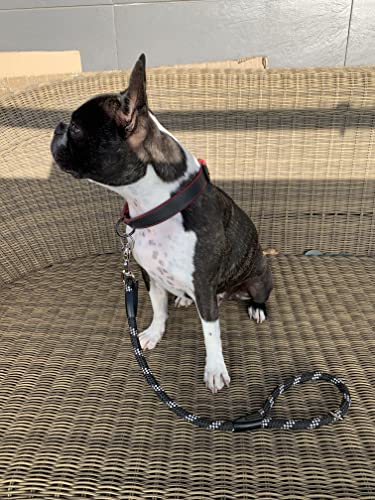 AVANZONA Correa Perro Nylon Corta Redonda de 12 mm Antitirones, Hecha a Mano en la UE, Correa de Entrenamiento para Perros Pequeños Medianos y Grandes. Size 60 cm. Negro&Blanco
