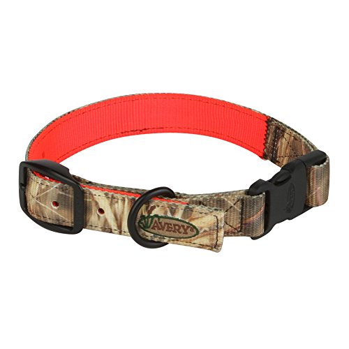 Avery Sporting Dog - Collar para Perros, Disponible en 3 tamaños, Accesorio para Perros, Apto para Muchas Razas de Perro, 2 en 1, Naranja y Camuflaje, Camuflaje y Naranja
