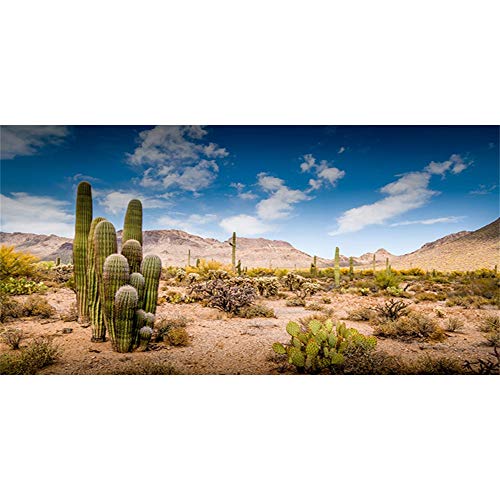 AWERT Fondo de terrario de 120 x 50 cm azul cielo desierto oasis cactus reptil hábitat fondo de vinilo duradero (no adhesivo)