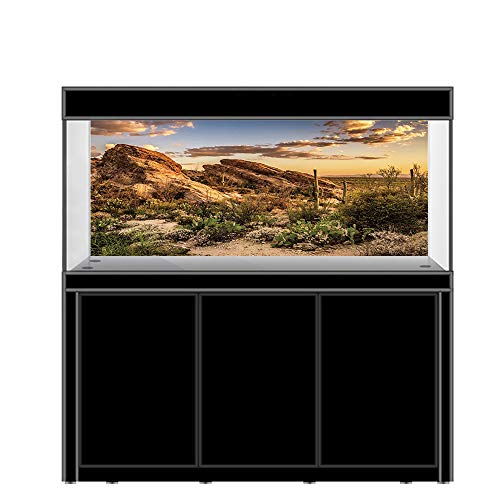 AWERT Fondo de vinilo duradero de 120 x 46 cm para hábitat de reptiles azul cielo oasis cactus sol y terrario del desierto (no adhesivo)