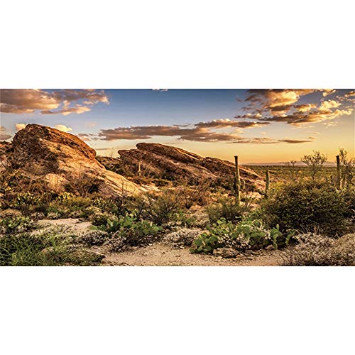 AWERT Fondo de vinilo duradero de 120 x 46 cm para hábitat de reptiles azul cielo oasis cactus sol y terrario del desierto (no adhesivo)