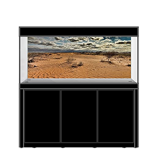 AWERT Fondo de vinilo duradero de 120 x 61 cm, diseño de oasis de gobi, color azul