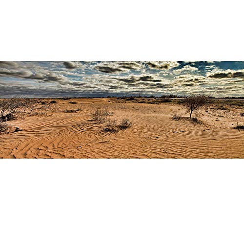 AWERT Fondo de vinilo duradero de 120 x 61 cm, diseño de oasis de gobi, color azul