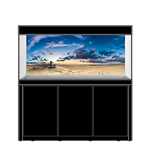 AWERT Fondo de vinilo duradero de 180 x 46 cm, diseño de oasis de gobi, color azul