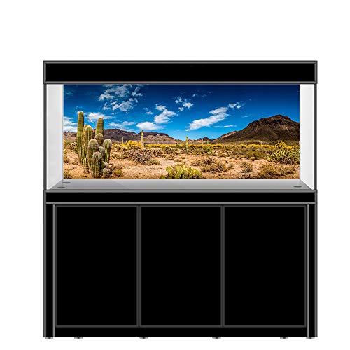 AWERT Fondo de vinilo duradero de 180 x 46 cm para hábitat de reptiles azul cielo oasis cactus desierto terrario fondo (no adhesivo)