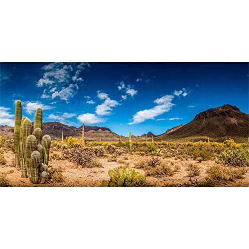 AWERT Fondo de vinilo duradero de 180 x 46 cm para hábitat de reptiles azul cielo oasis cactus desierto terrario fondo (no adhesivo)