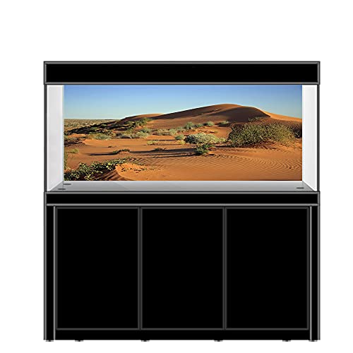 AWERT Fondo de vinilo duradero de 180 x 61 cm, diseño de oasis de gobi, color azul
