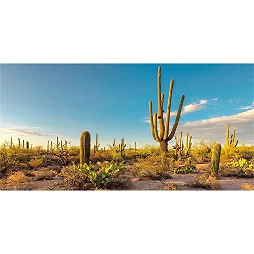 AWERT Fondo de vinilo duradero de 180 x 61 cm para terrario de sol y desierto con oasis de cactus y reptiles de hábitat (no adhesivo)