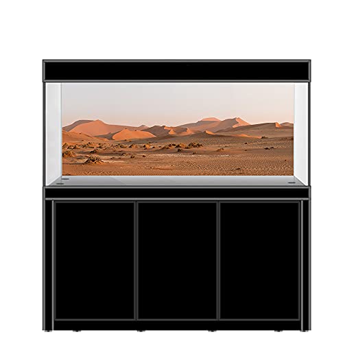 AWERT Fondo de vinilo duradero de 61 x 30 cm Gobi Oasis Sun and Desert Reptile Habitat