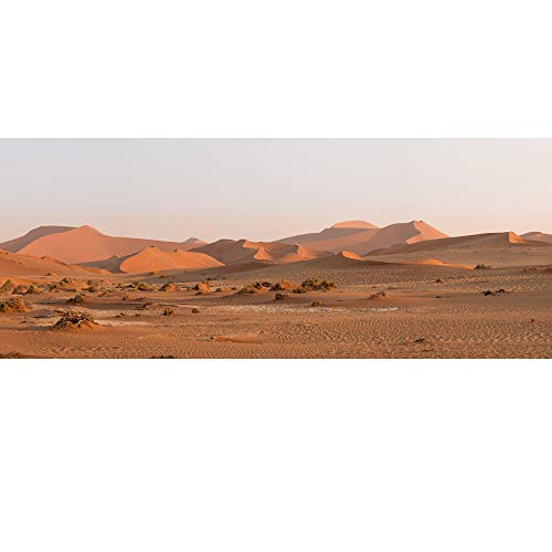 AWERT Fondo de vinilo duradero de 61 x 30 cm Gobi Oasis Sun and Desert Reptile Habitat