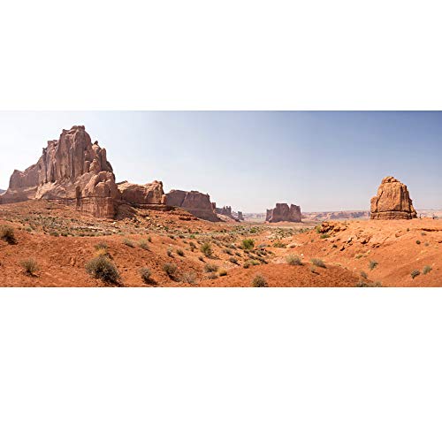 AWERT Fondo de vinilo duradero de 61 x 30 cm para terrario de sol y desierto, Oasis rocoso Gobi para reptiles
