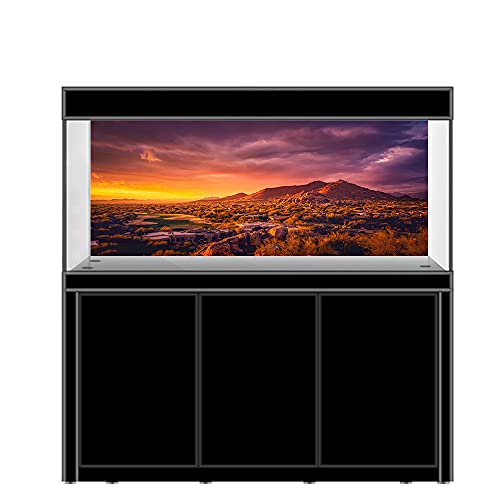 AWERT Fondo de vinilo duradero de 91 x 50 cm para terrario de sol y desierto de montaña Oasis Gobi