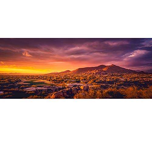 AWERT Fondo de vinilo duradero de 91 x 50 cm para terrario de sol y desierto de montaña Oasis Gobi