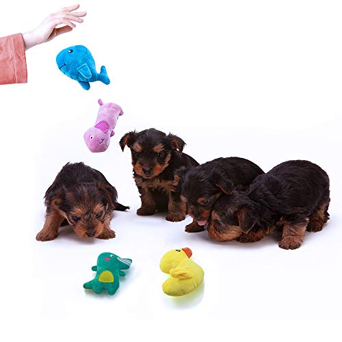 AWOOF Juguetes para cachorros, paquete de 10 lindos cachorros masticables juguetes para perros chillones para aburrimiento, juguetes de dentición para perros medianos a pequeños