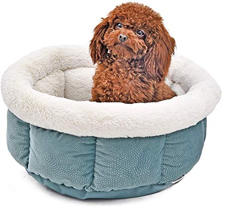 AYCPG Gato Suave Cama Gatito Perro de la jerarquía de la Perrera del Perrito House Bed for el Perro Acogedor Gatito Jaula de Alimentos for Mascotas Mascota Caliente Mats, sólo un tamaño lucar