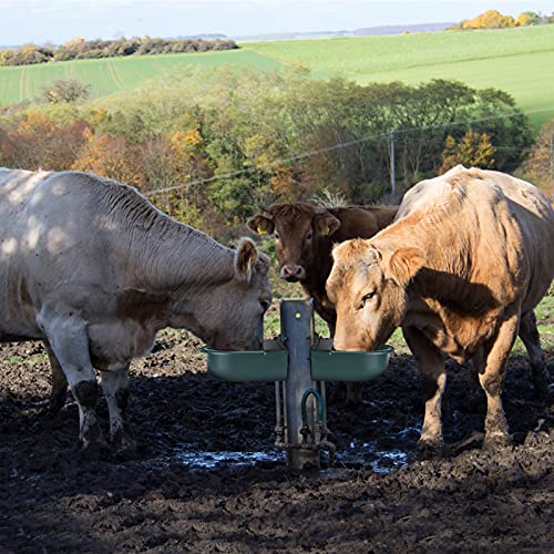 AYNEFY Tränkebecken 4L Automatisches Tränketrog Schwimmer-Tränkebecken con Rohrventil para caballos ovejas, cabras, vacuno