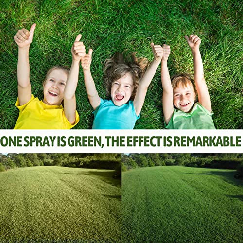 Aznever 2 uds Pintura de Hierba Verde, Aerosol de Hierba Verde Totalmente Natural Seguro, Agente de enverdecimiento de césped Apto para Mascotas líquido Verde rápido para Manchas secas dañadas