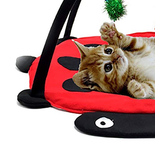 Ba30DEllylelly Cama para gatos para mascotas Tienda de juegos para gatos Juguetes Actividad móvil Almohadilla para la cama Manta para gatos Casa Muebles para mascotas Casa para gatos con pelota
