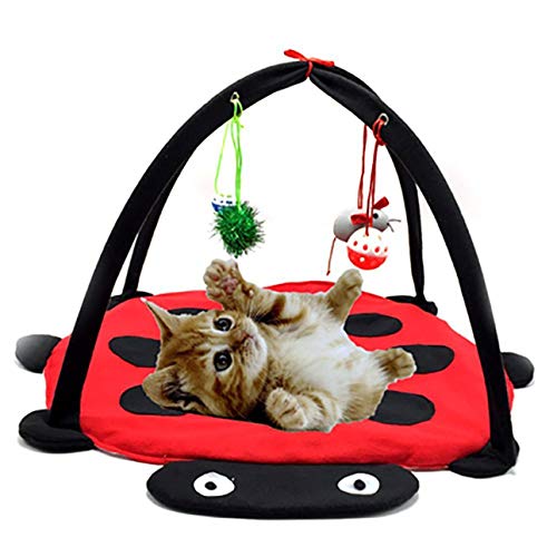 Ba30DEllylelly Cama para gatos para mascotas Tienda de juegos para gatos Juguetes Actividad móvil Almohadilla para la cama Manta para gatos Casa Muebles para mascotas Casa para gatos con pelota