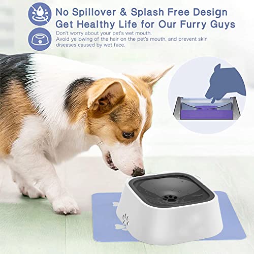 Baaly Cuenco de agua para perros, para vehículos, para nadar o gatos.