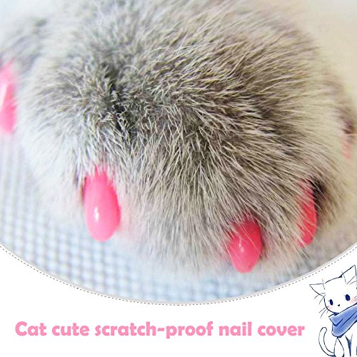 BaconiXfF - 20 Unidades de Tapas de Silicona para Mascotas, Gatos, Garras de Control de uñas, Patas de Gato, Mascotas con Pegamento, Garras de Control, tamaño S