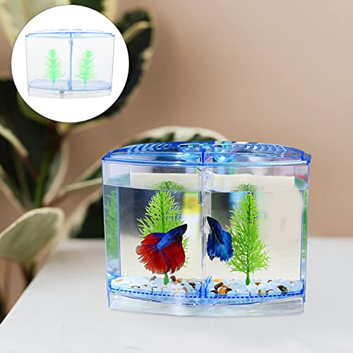 Balacoo 1 Set Desktop Pisco Tanque Mini Acrylic Betta Acuario Caja de Cría de Peces Transparente Pequeño Pescado Pequeño con Luz LED Peces Pequeños Accesorios de Alimentación Azul