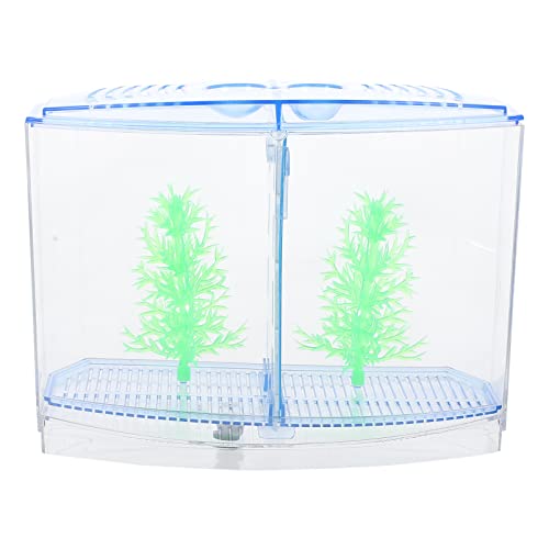 Balacoo 1 Set Desktop Pisco Tanque Mini Acrylic Betta Acuario Caja de Cría de Peces Transparente Pequeño Pescado Pequeño con Luz LED Peces Pequeños Accesorios de Alimentación Azul