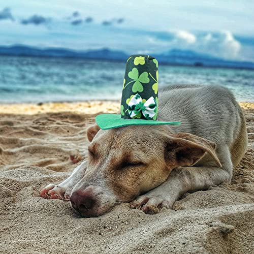 Balacoo 1 Set Pet Dog Patricks Day Disfraz Shamrock Perro Top Hat Hat Green Dog Triangle Bibs Cat Scarf Perrito Pañuelo para Perros Gatos Puppy Gatito