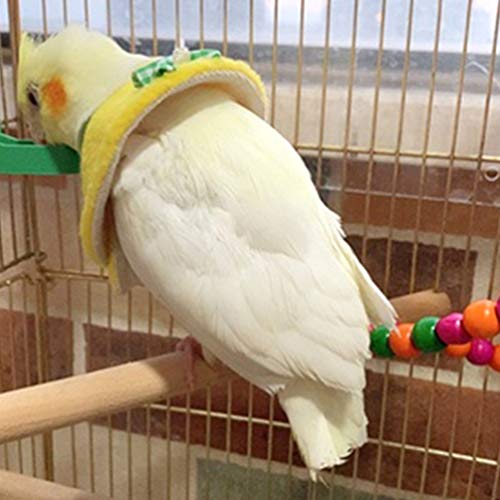 Balacoo 3 Piezas de Collares de Pájaros Plumas de Loro Cuello Desplumado Conos de Recuperación de Aves Protector de Plumas Protector para Evitar Mordeduras Y Heridas