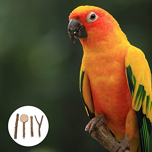 Balacoo 3 Piezas de Madera para Pájaro Percha para Loro Patas para Moler Ramas para Picotear Aves Juguete Jaula para Pájaros Accesorios para Loros Cockatiel Lovebird
