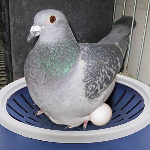 Balacoo 5 Piezas de Plástico para Nido de Aves Cuencos para Anidar Aves Cuenco para Nido de Palomas Incubación de Aves Cama para Palomas Codornices Pequeños Pájaros Blanco Canario Azul