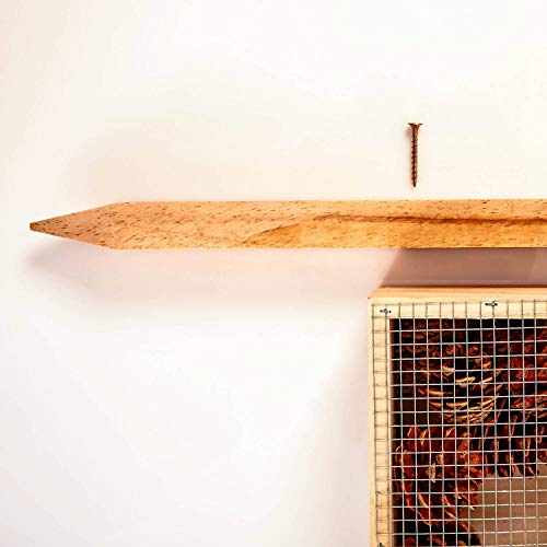 bambuswald© Hotel de Insectos 23 x 9 x 55,5 cm | Casa para Abejas Moscas escarabajos Mariposas - con Techo de Metal y Patas | Refugio y Lugar de anidación - Protección de Especies en el jardín