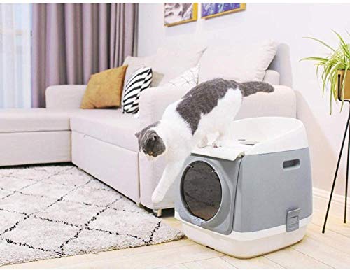 Bandeja De Arena Para Gatos Caja De Arena De Doble Puerta Para Desodorización Antibacteriana Fácil De Limpiar Caja De Arena Para El Hogar Del Inodoro De Arenero Gato Arenero Gatos Cat Litter Box