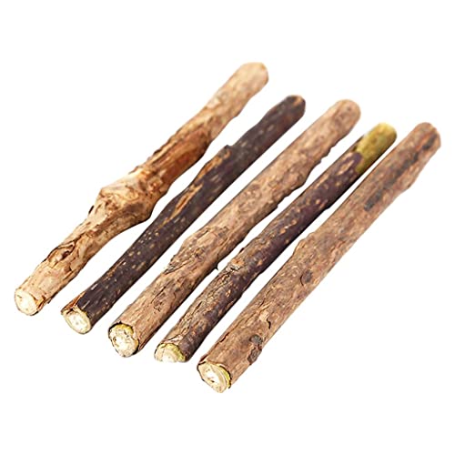 Baoblaze 5Pcs Catnip Stick Pasta de Natural Molar Actinidia Polygama Safe Snack Toy