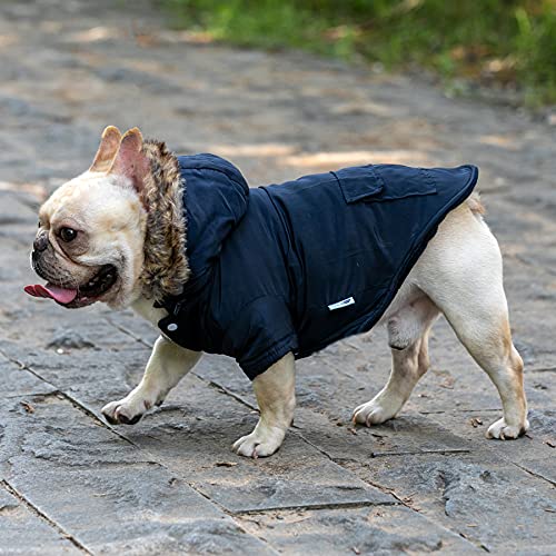 BCASE, Abrigo para Perro, con Capucha de Pelos, Ropa para Mascotas, Resistente al Agua y al Viento con Forro Interior de Algodón Suave y Cálido, Perros y Gatos. Color Azul Marino. Tallas S, L y XL