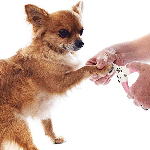 Bdesign Cortauñas for perros for grandes, medianas y raza pequeña de uñas profesional del animal doméstico podadoras Adecuado for gatos, conejos y conejillos de Indias con cierre de seguridad y de pro