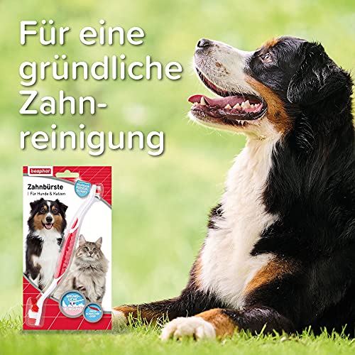 Beaphar Cepillo de Dientes Dog-a-Dent