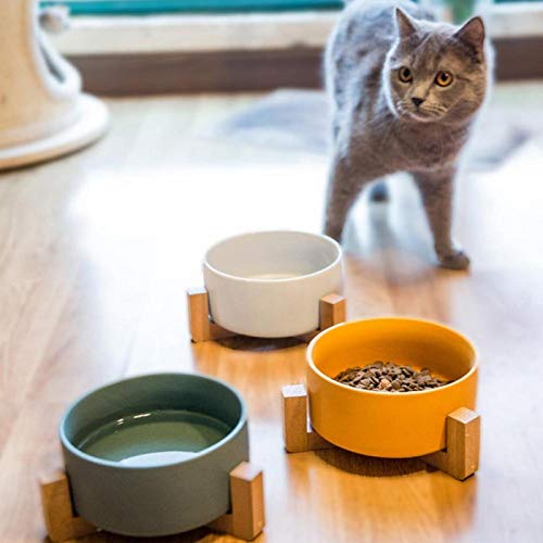 BECCYYLY Comedero más ordenado para Perros, Cuenco Elevado Elevado de cerámica para Gatos con Soporte de Madera, alimentador de Agua sin derrames para Mascotas