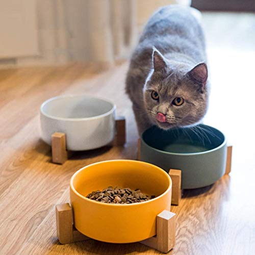 BECCYYLY Comedero más ordenado para Perros, Cuenco Elevado Elevado de cerámica para Gatos con Soporte de Madera, alimentador de Agua sin derrames para Mascotas